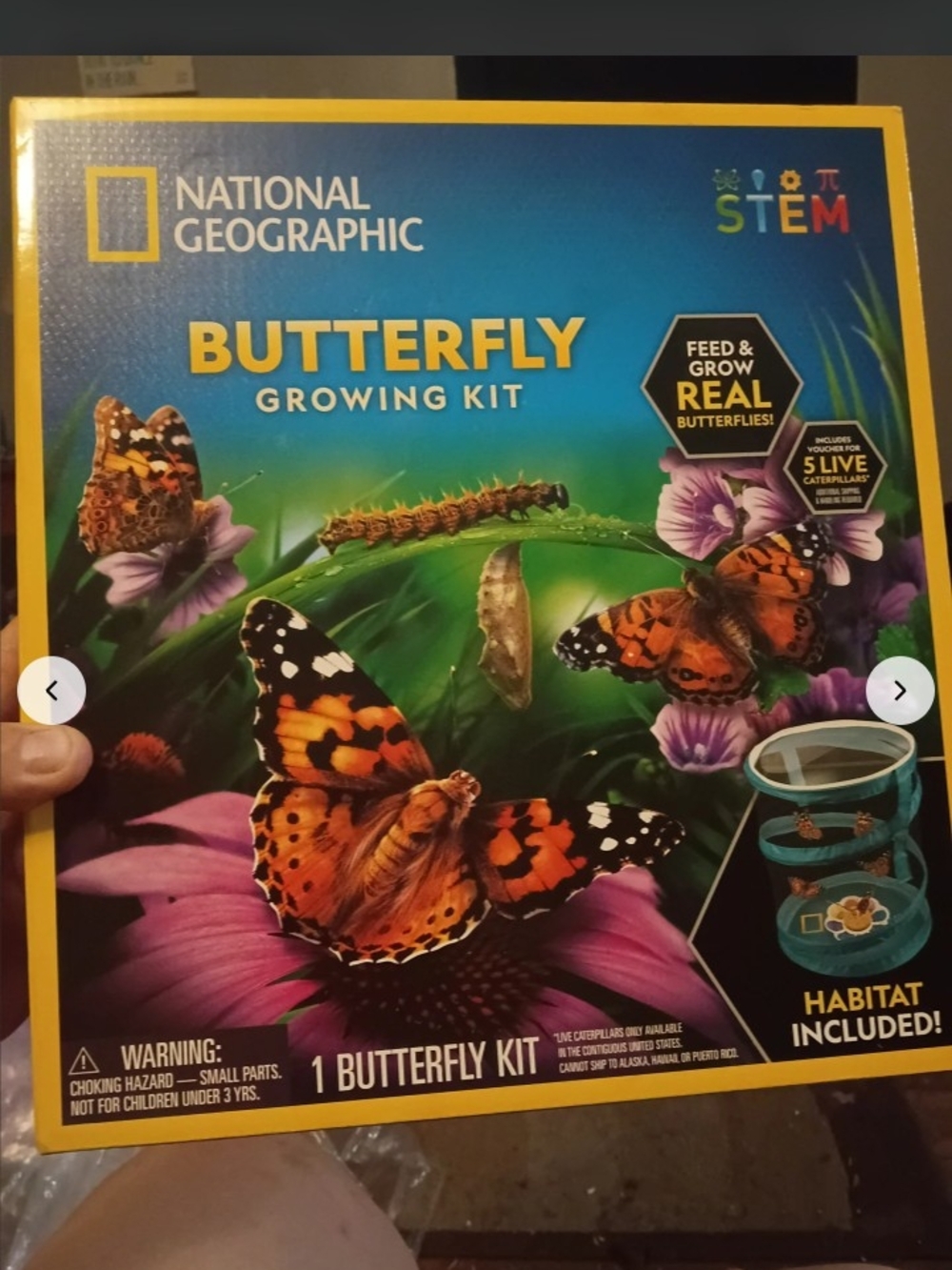 National Geographic Butterfly Growing Kit - Blue/Green